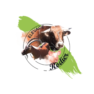 Rodier-nouveau logo